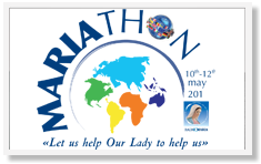 mariathon2013.png