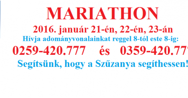 mariathon2016januar.png