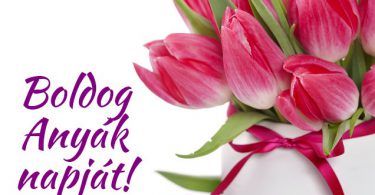 boldog-anyak-napjat.jpg