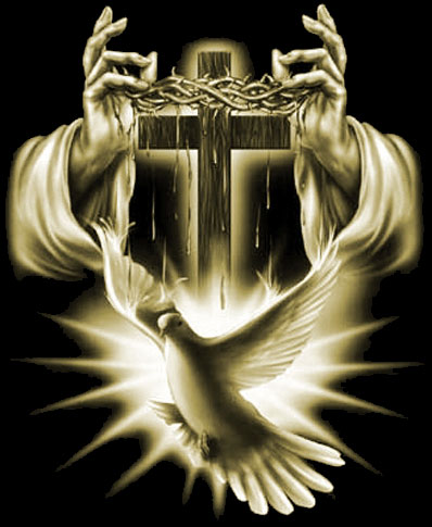 trinityheader.jpg